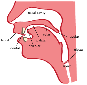 Consonant diagram